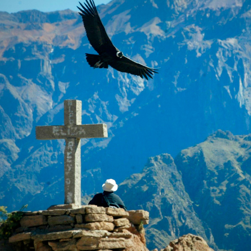 Día 2: Cruz Del Condor – Arequipa