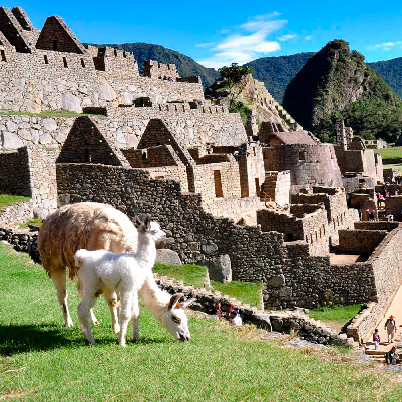 Día 2: Excursión Machu Picchu