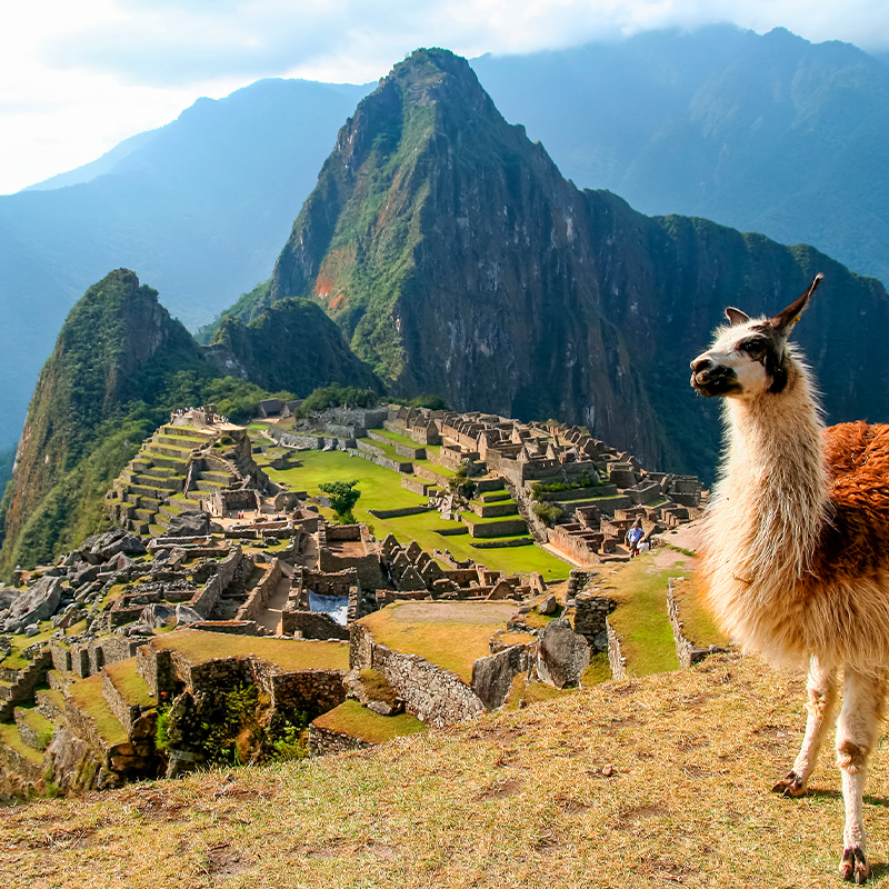 Día 3: Excursión a Machu Picchu